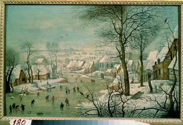 Winter Landscape